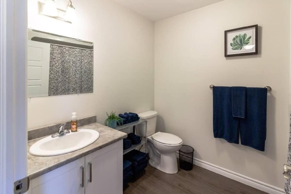 Newly Renovated Modern Condo Near Hospital, Unb Patio & Parking Coffee Saint John Zewnętrze zdjęcie